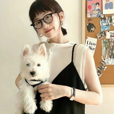 丹美的电影宇宙